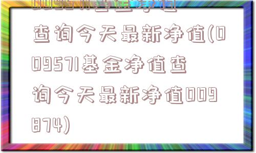 009571基金净值查询今天最新净值(009571基金净值查询今天最新净值009874)