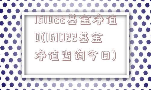 161022基金净值0(161022基金净值查询今日)