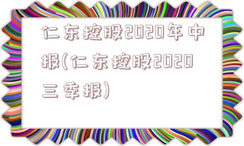 仁东控股2020年中报(仁东控股2020三季报)