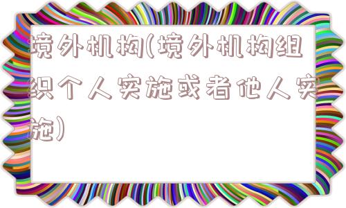 境外机构(境外机构组织个人实施或者他人实施)