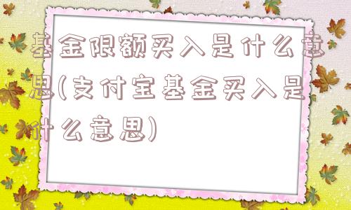 基金限额买入是什么意思(支付宝基金买入是什么意思)