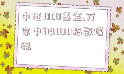 中证1000基金,万家中证1000指数增强