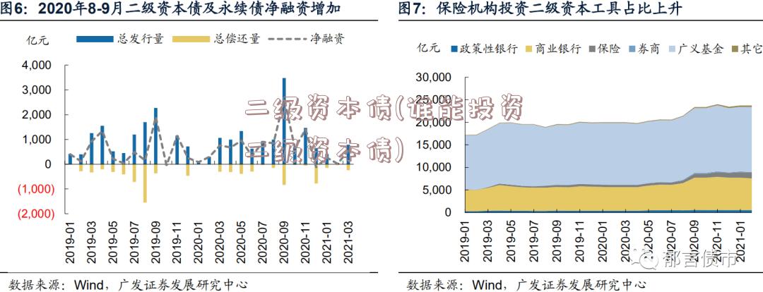 二级资本债(谁能投资二级资本债)