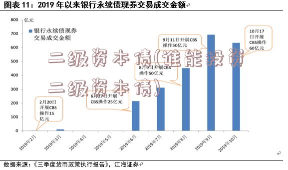 二级资本债(谁能投资二级资本债)