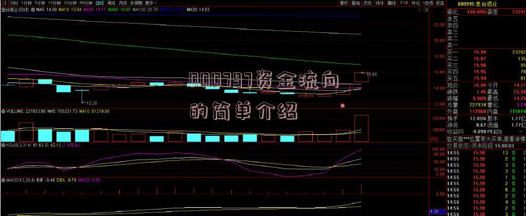 000797资金流向的简单介绍