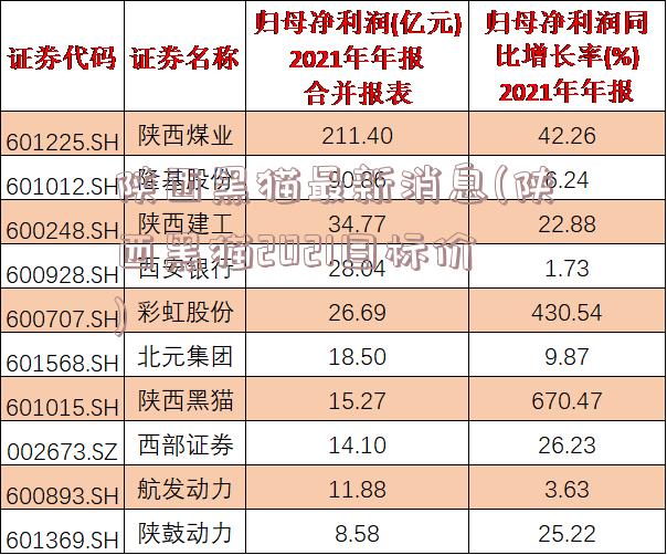 陕西黑猫最新消息(陕西黑猫2021目标价)