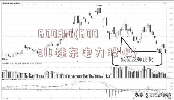 600310(600310桂东电力股吧)