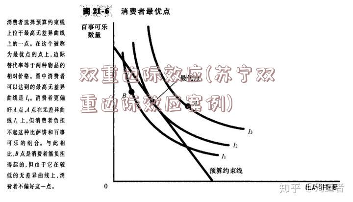 双重边际效应(苏宁双重边际效应案例)