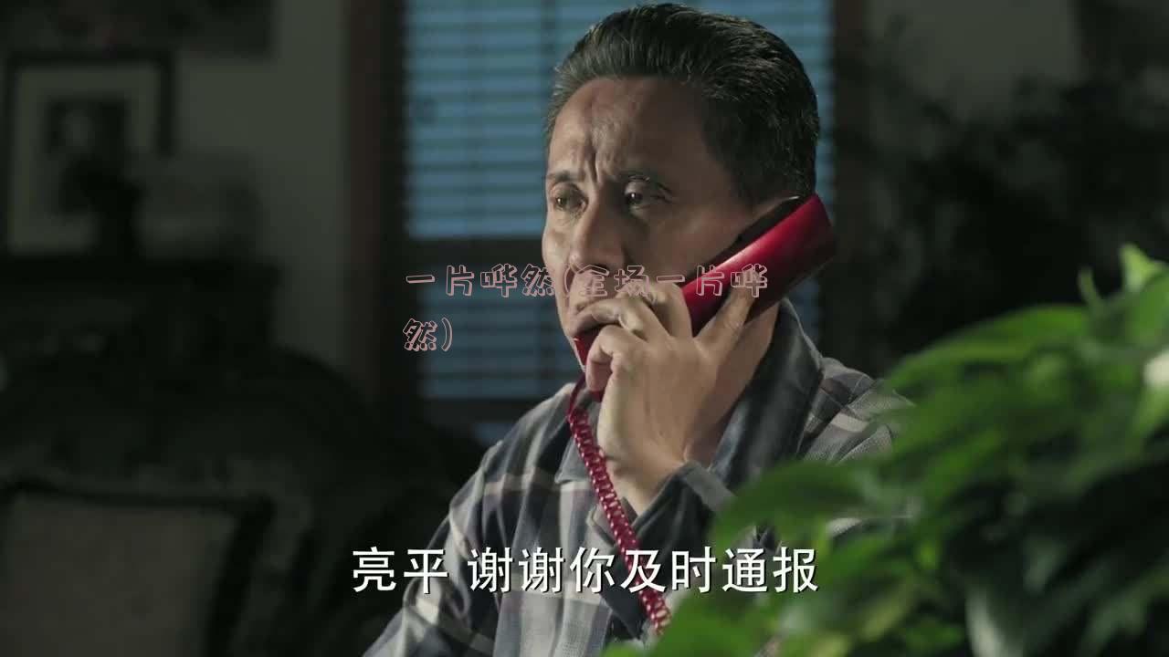 一片哗然(全场一片哗然)