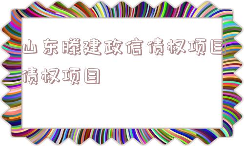 山东滕建政信债权项目债权项目