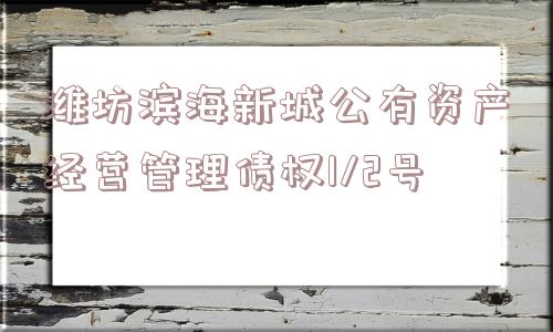 潍坊滨海新城公有资产经营管理债权1/2号