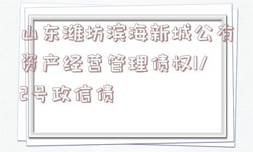 山东潍坊滨海新城公有资产经营管理债权1/2号政信债