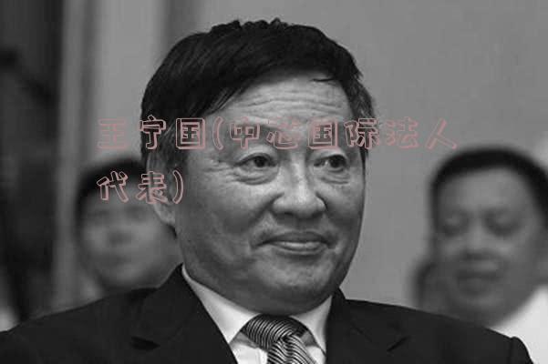 王宁国(中芯国际法人代表)