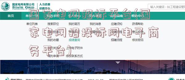 国家电网招标平台(国家电网招投标网电子商务平台)