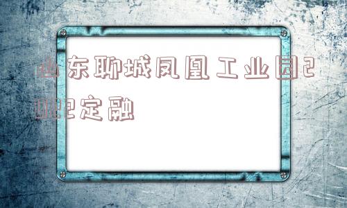 山东聊城凤凰工业园2022定融