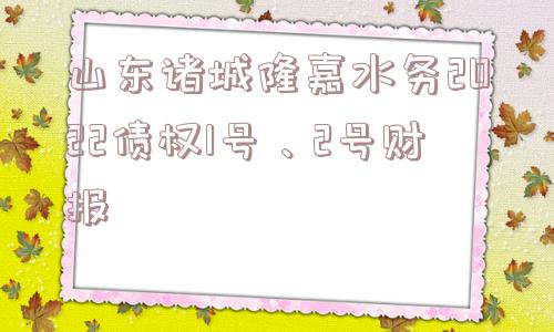 山东诸城隆嘉水务2022债权1号、2号财报