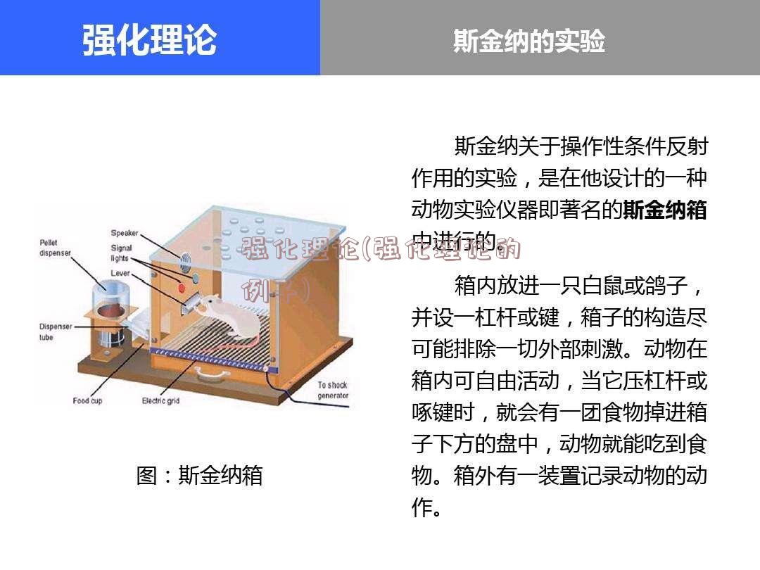 强化理论(强化理论的例子)