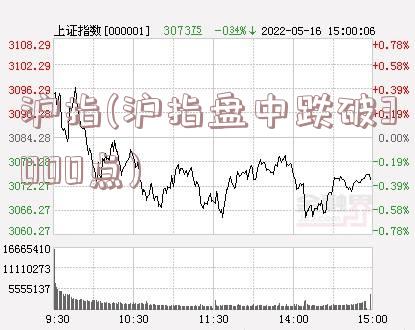 沪指(沪指盘中跌破3000点)