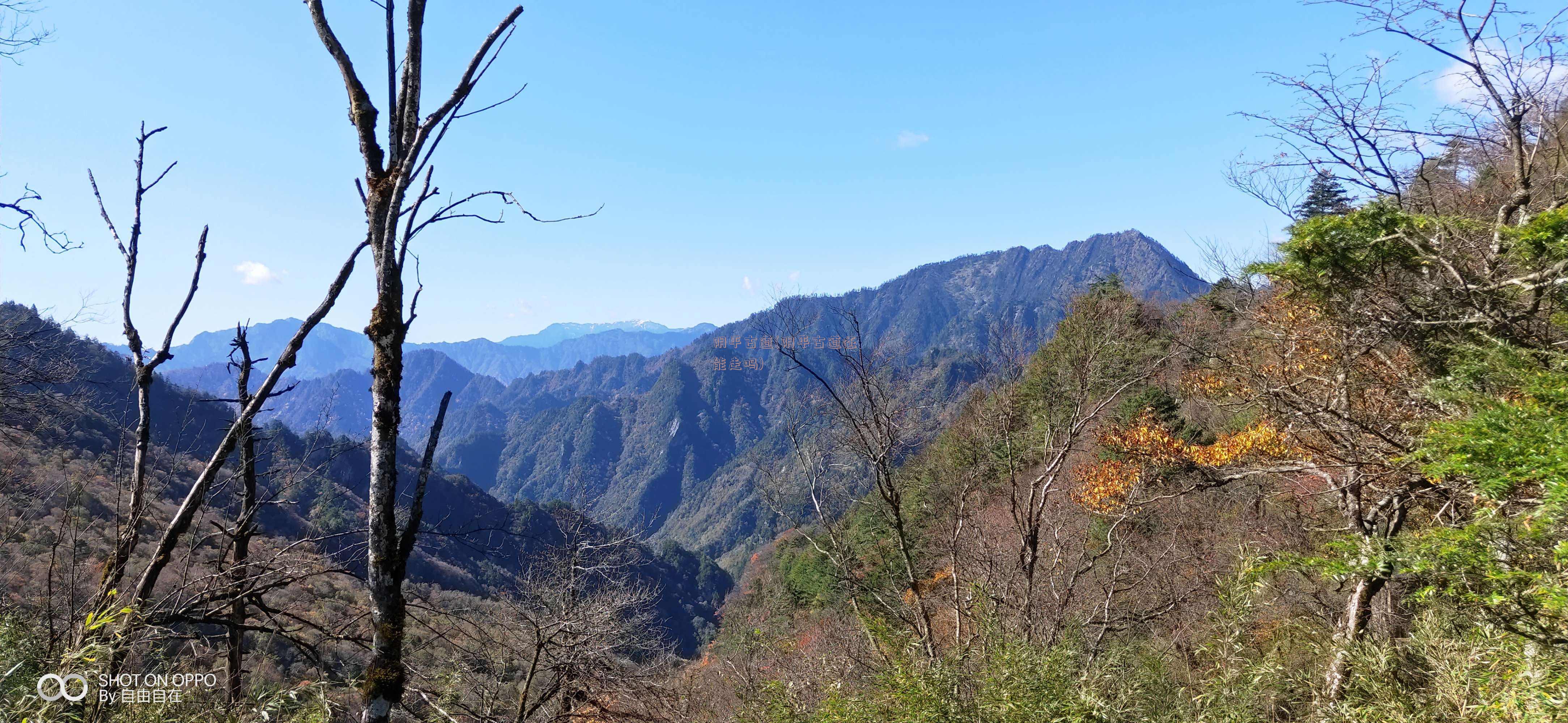 阴平古道(阴平古道还能走吗)