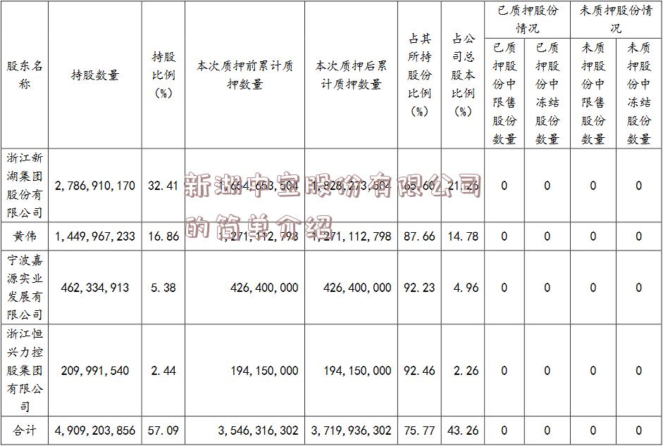 新湖中宝股份有限公司的简单介绍