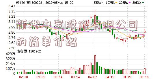 新湖中宝股份有限公司的简单介绍