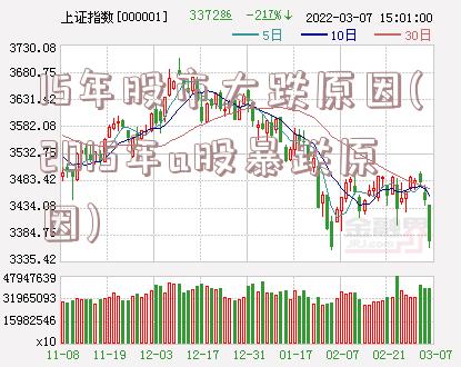 15年股市大跌原因(2015年a股暴跌原因)