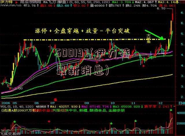 600197(伊力特最新消息)