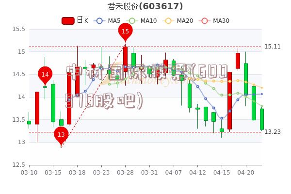 中材国际股票(600970股吧)