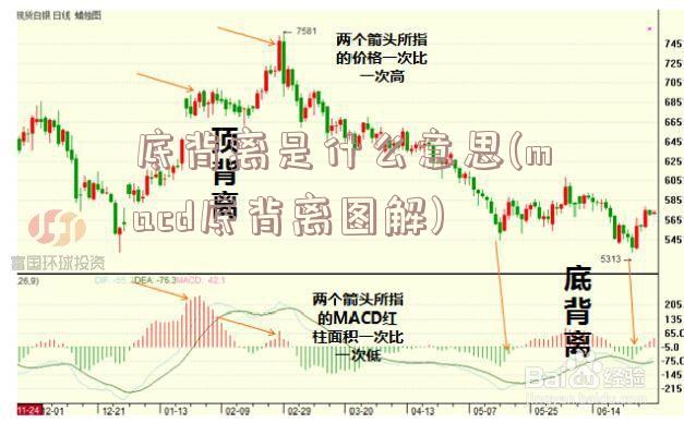 底背离是什么意思(macd底背离图解)