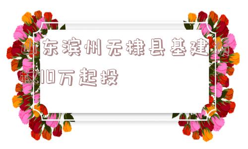 山东滨州无棣县基建债权10万起投