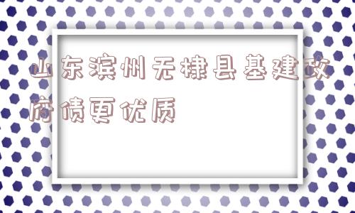 山东滨州无棣县基建政府债更优质