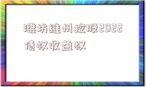 潍坊维州控股2022债权收益权