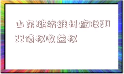 山东潍坊维州控股2022债权收益权