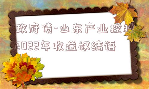 政府债-山东产业控股2022年收益权结语