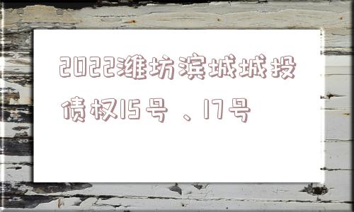 2022潍坊滨城城投债权15号、17号