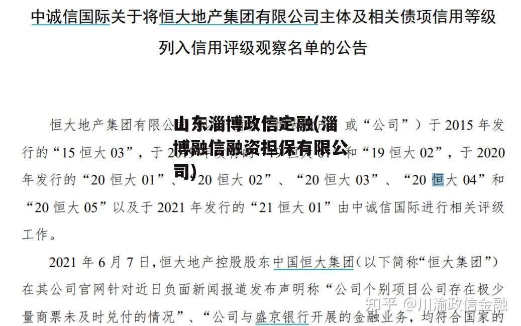 山东淄博政信定融(淄博融信融资担保有限公司)