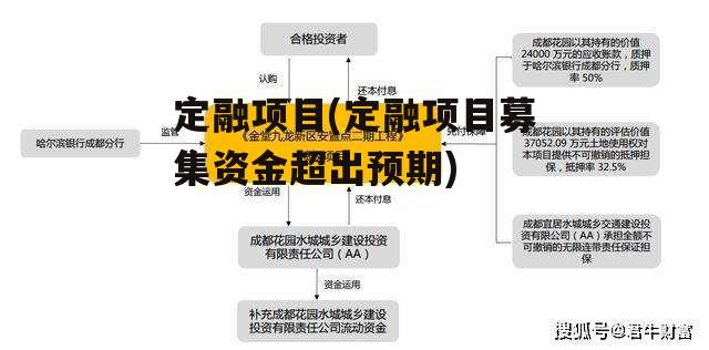 定融项目(定融项目募集资金超出预期)