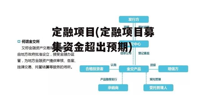 定融项目(定融项目募集资金超出预期)