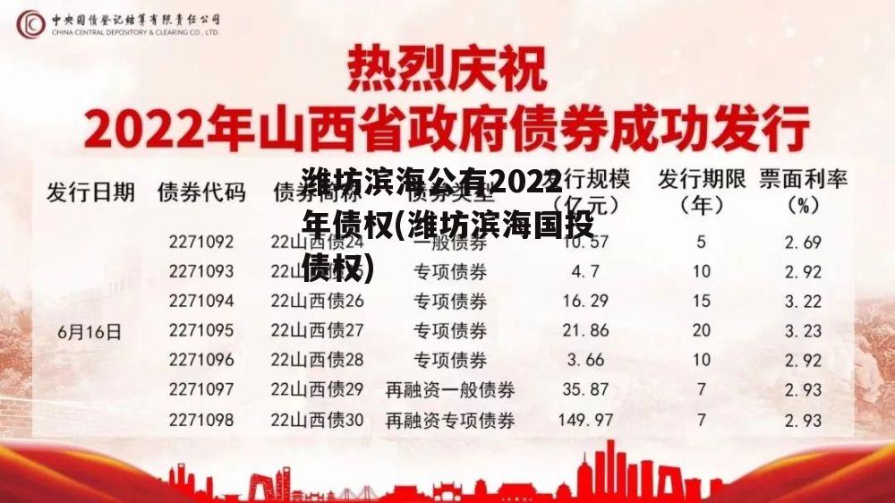 潍坊滨海公有2022年债权(潍坊滨海国投债权)