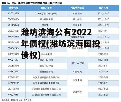 潍坊滨海公有2022年债权(潍坊滨海国投债权)