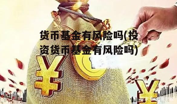 货币基金有风险吗(投资货币基金有风险吗)