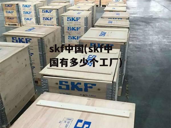 skf中国(skf中国有多少个工厂)