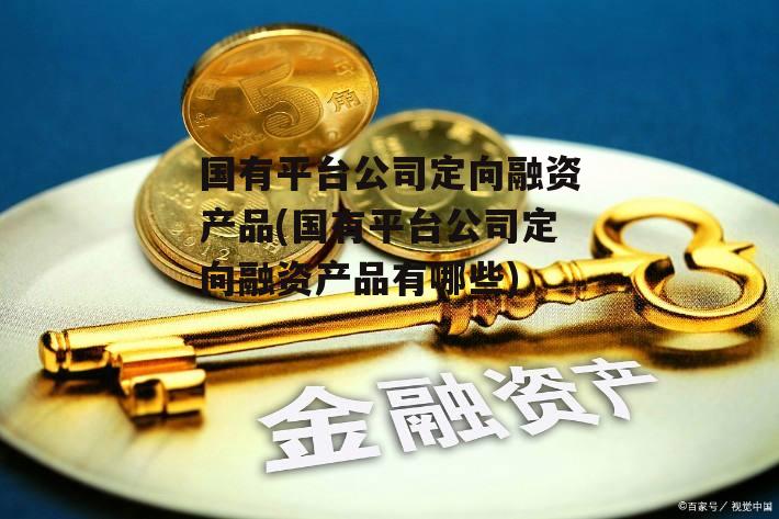 国有平台公司定向融资产品(国有平台公司定向融资产品有哪些)