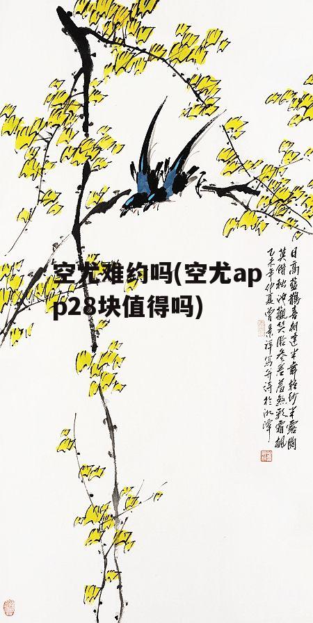 空尤难约吗(空尤app28块值得吗)