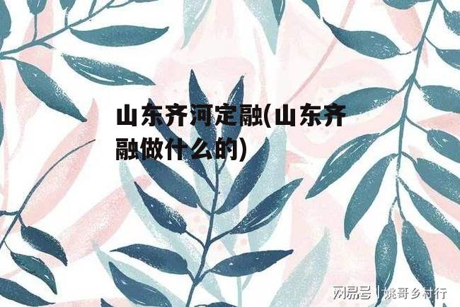 山东齐河定融(山东齐融做什么的)