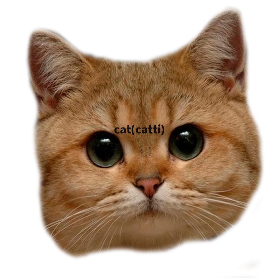 cat(catti)