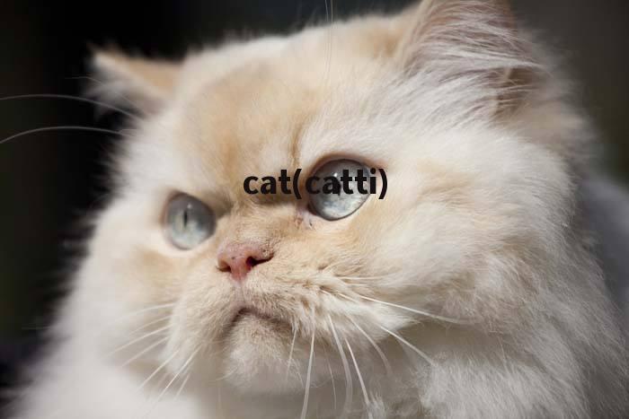 cat(catti)