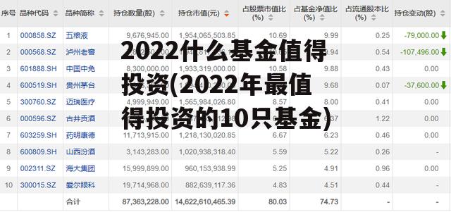 2022什么基金值得投资(2022年最值得投资的10只基金)