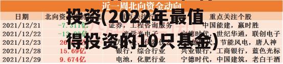 2022什么基金值得投资(2022年最值得投资的10只基金)