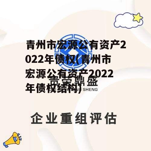 青州市宏源公有资产2022年债权(青州市宏源公有资产2022年债权结构)